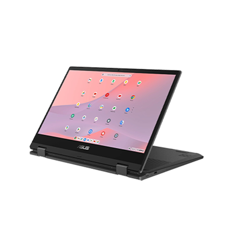 Asus CM14 Flip